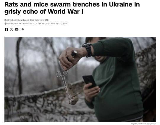 17.01.2024 -  dqxikeidqxidqrant