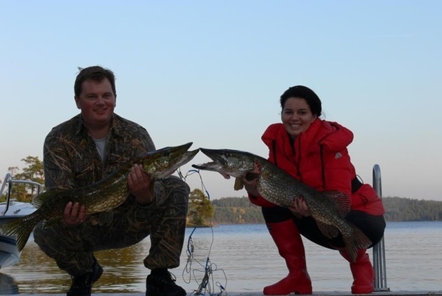 17.11.2020_2 dqxikeidqxiqdxant