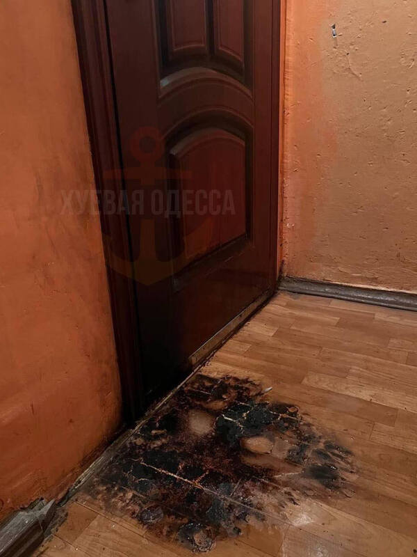 17.11.2023- dqxikeidqxidqrant