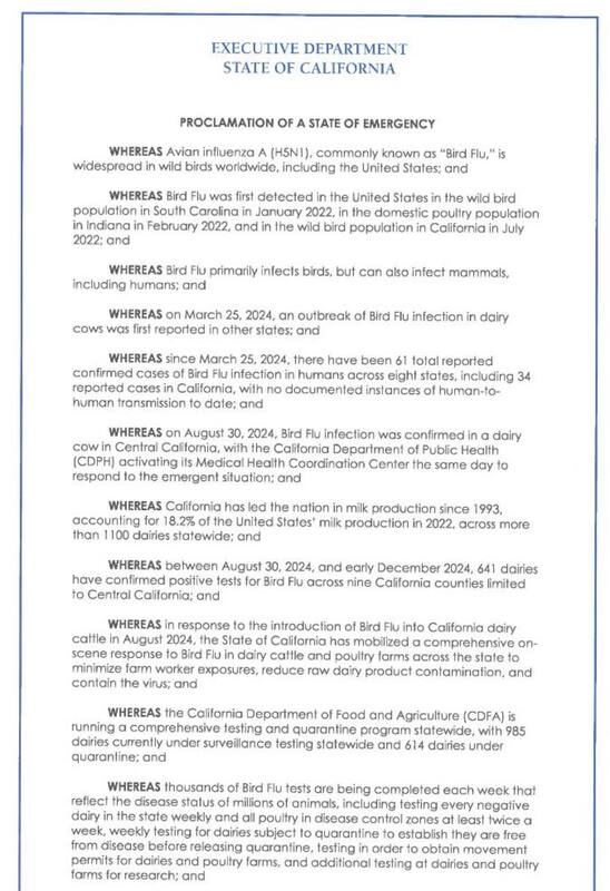 18.12.2024 - dqxikeidqxiquqant