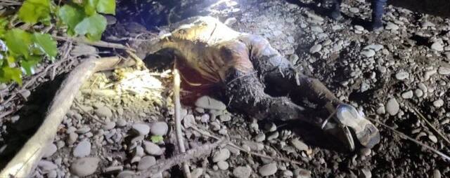 19.05.2024 -  dqxikeidqxidqrant