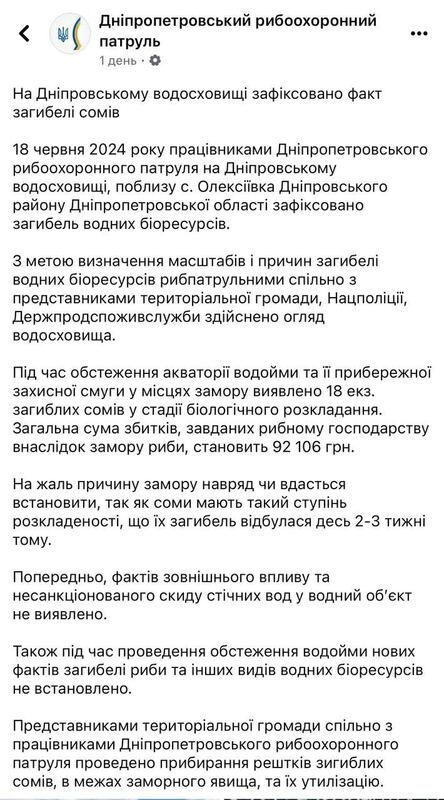 19.06.2024 -  dqxikeidqxidqeant