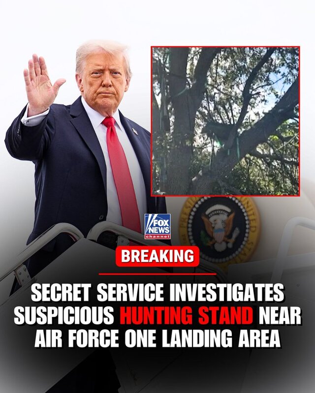 19.10.2025 - 1 dqxikeidqxixdant