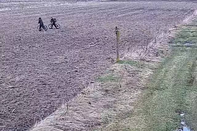 25.02.2024 -  dqxikeidqxidqrant