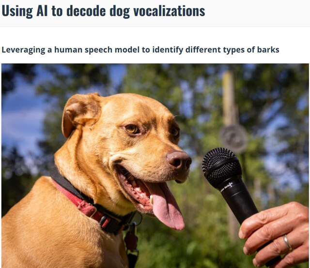 21.04.2025 -1  dqxikeidqxidqrant