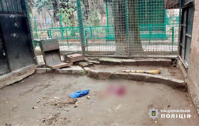 21.12.2024 - dqxikeidqxidqrant