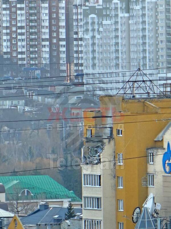 22.03.2024 -  dqxikeidqxidqrant