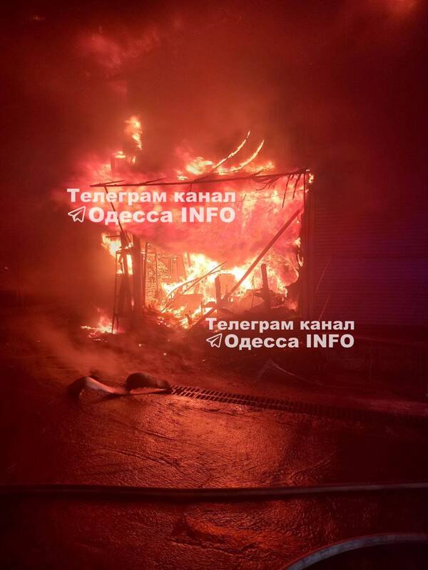 22.03.2024 -  dqxikeidqxidqrant