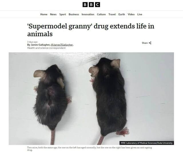 22.07.2024 -  dqxikeidqxidqrant