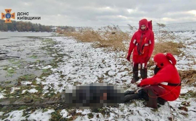 23.11.2024 -  dqxikeidqxidqeant