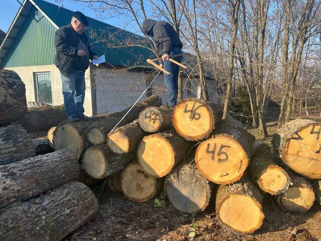 24.01.2024 -  dqxikeidqxiuuant