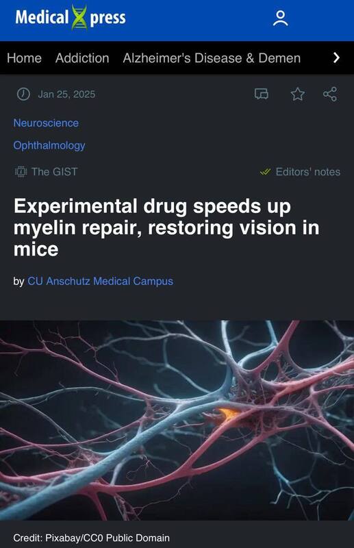 26.01.2025 -  dqxikeidqxiqzant