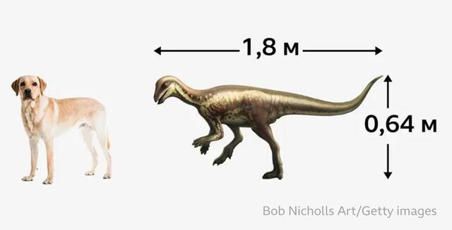 26.06.2025 - 1 dqxikeidqxiqhtant