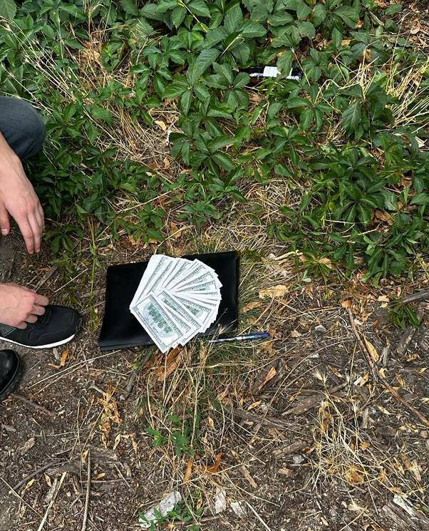 26.07.23- dqxikeidqxiqqdant