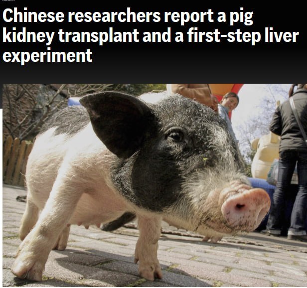 27.03.2025 - 1 dqxikeidqxidqrant