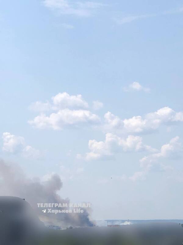 27.07.2024 -  dqxikeidqxidqrant