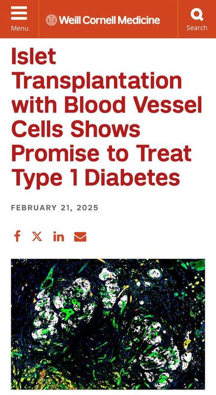 28.02.2025 -  dqxikeidqxidqrant