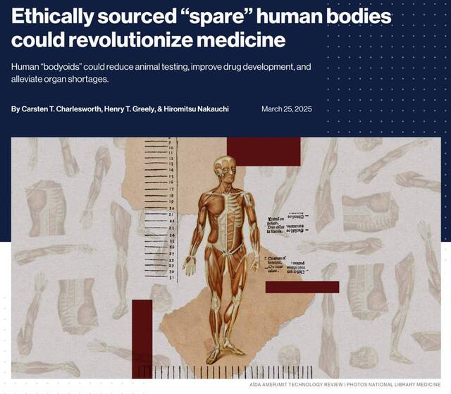 28.03.2025 - 1 dqxikeidqxihuant