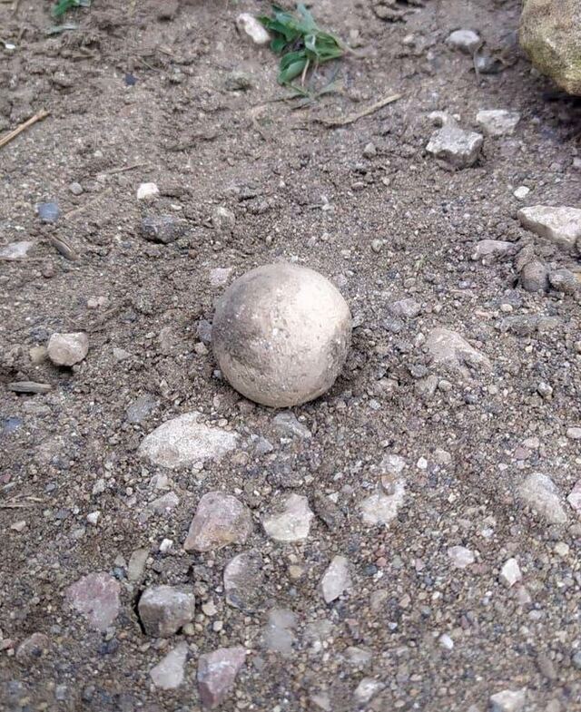 28.04.2024 -  dqxikeidqxidqrant