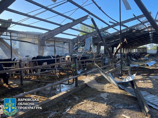 28.04.2025 -  dqxikeidqxiuuant