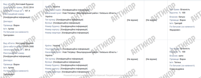 Артем Ворон, Новые Петровцы, декларация