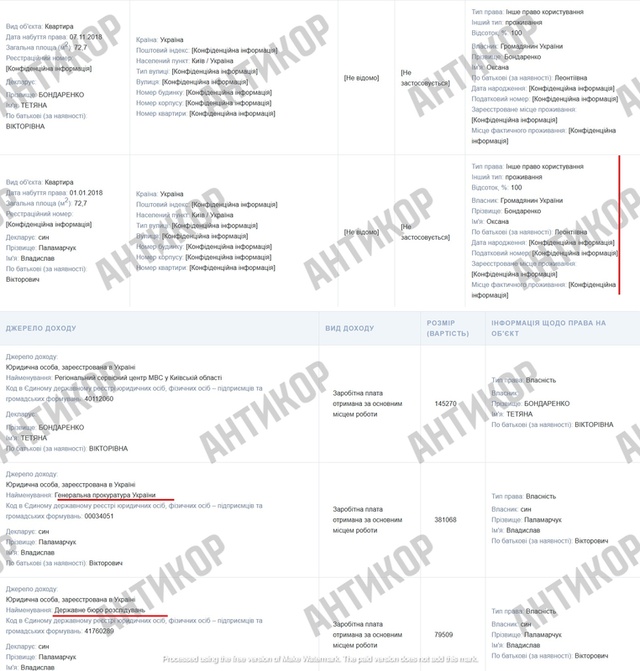 Владислав Паламарчук, декларация