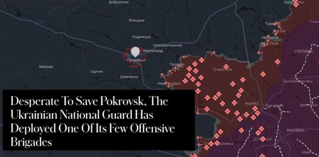 29.08.2024 -  dqxikeidqxidqeant