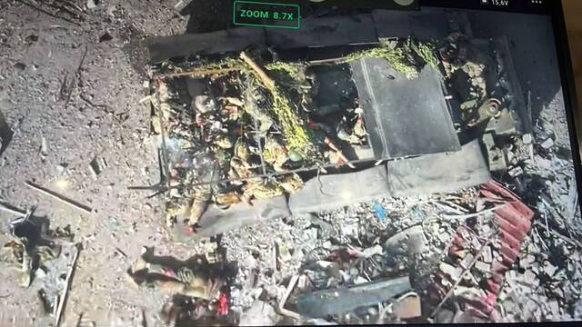 29.09.2024 -  dqxikeidqxirzant