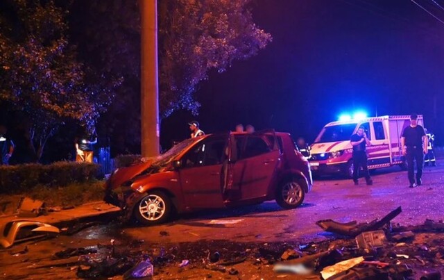 29.12.2024 -  dqxikeidqxidqrant