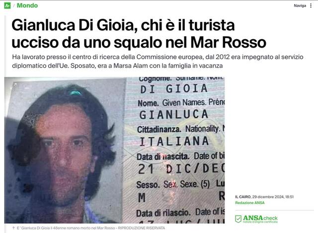 29.12.2024 -  dqxikeidqxidqrant