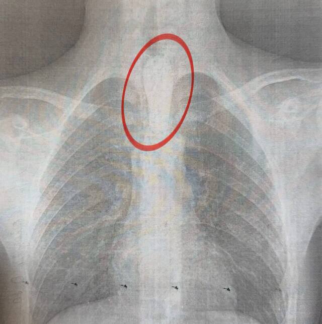 30.04.2025 - 1 dqxikeidqxiqdzant