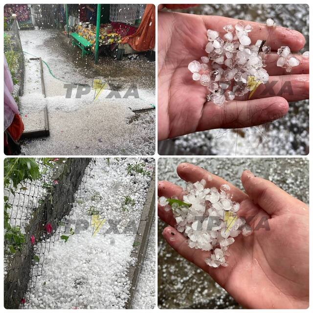 30.05.2024 -  dqxikeidqxidtant