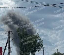 30.05.2025 - 1 dqxikeidqxidqrant