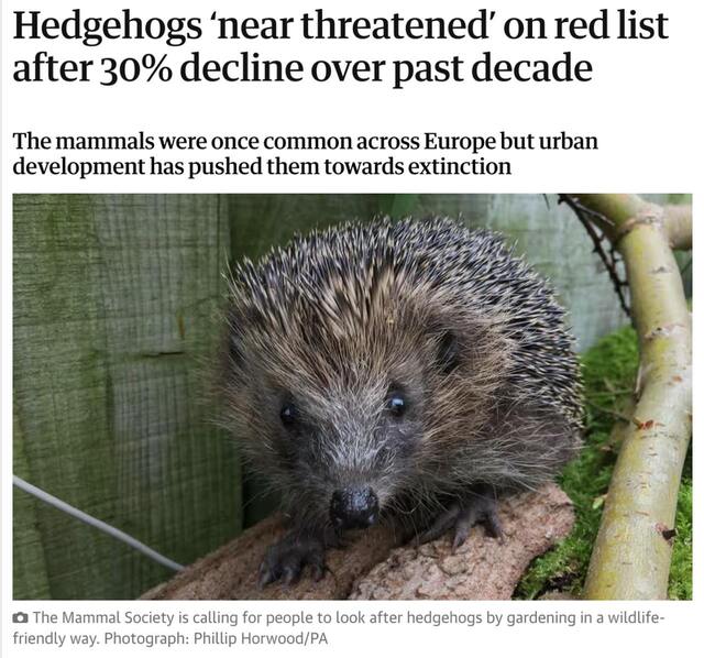 30.10.2024 -  dqxikeidqxidqrant