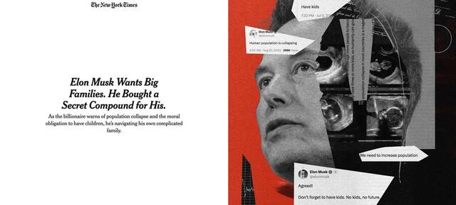 30.10.2024 -  dqxikeidqxidqrant