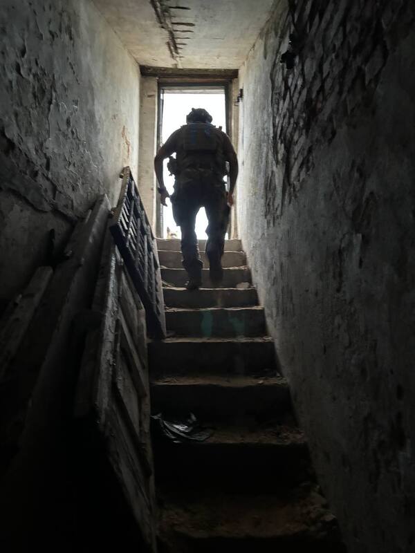 31.07.2024 -  dqxikeidqxidqeant