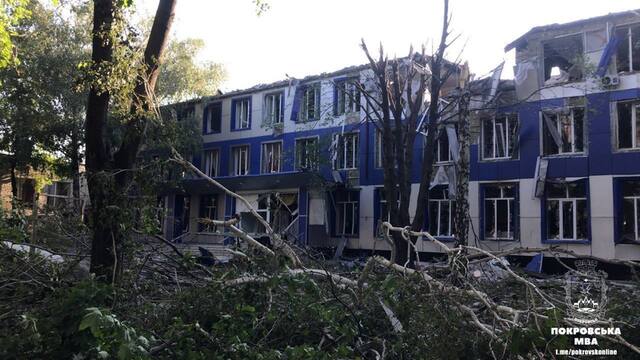 31.07.2024 -  dqxikeidqxidqrant