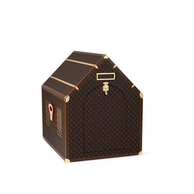 31.10.2024 -  dqxikeidqxiqttant