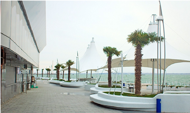 12 dqxikeidqxidqrant